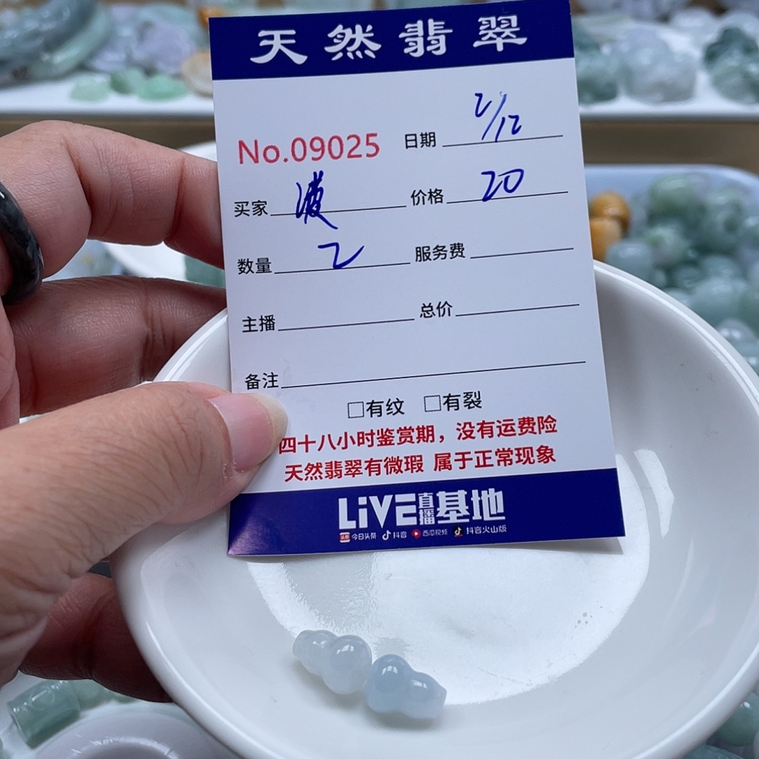 菠***啦翡翠未镶嵌颈饰4567