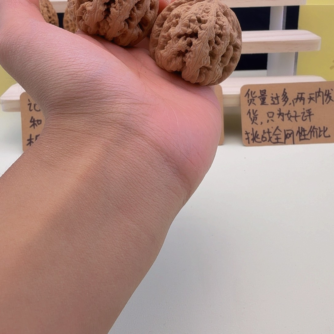 全品大粗筋45尺以上
