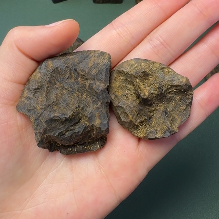 沉香手把件闭****度海南原母树紫棋包头老料12.7克