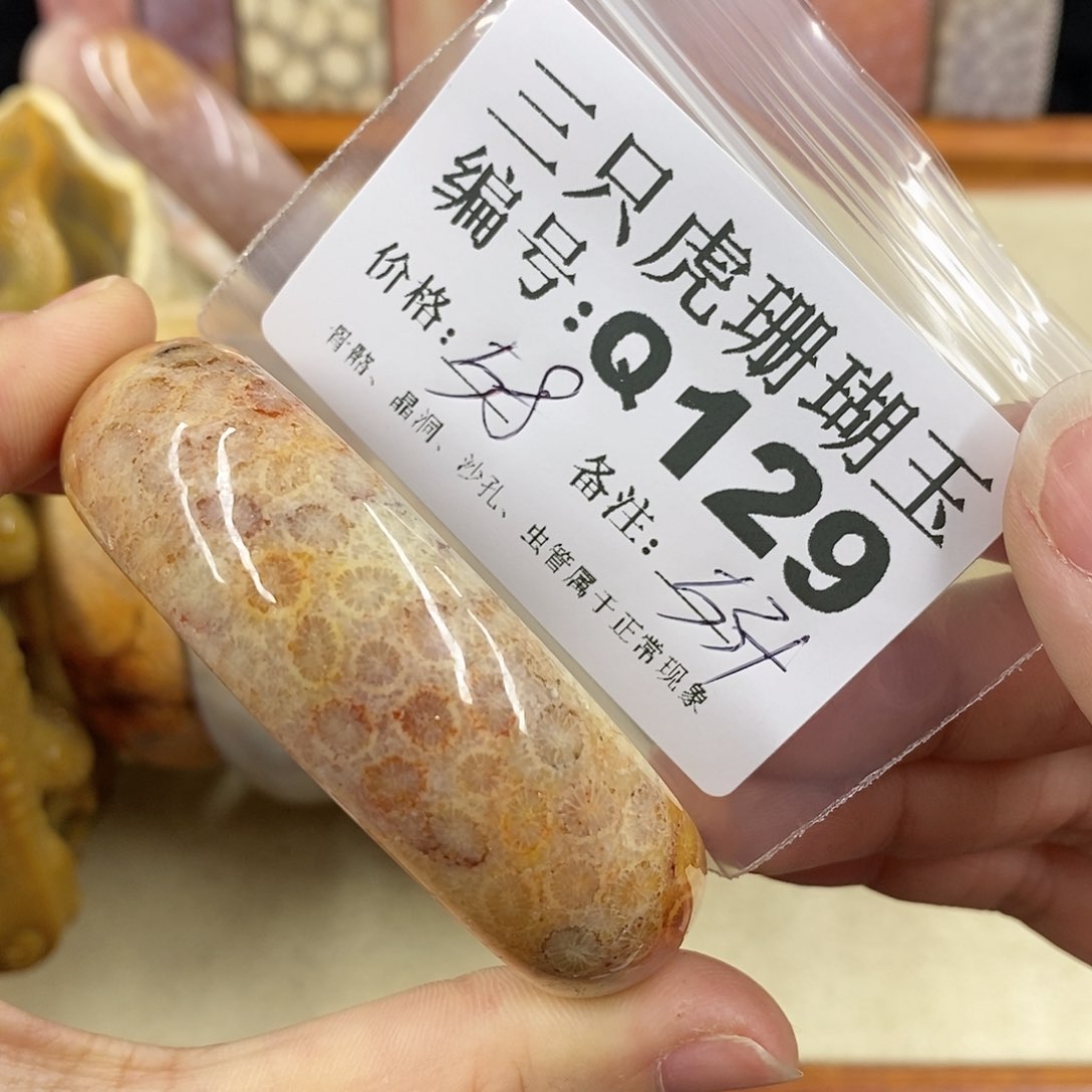 硅化珊瑚（珊瑚玉）1未镶嵌中*