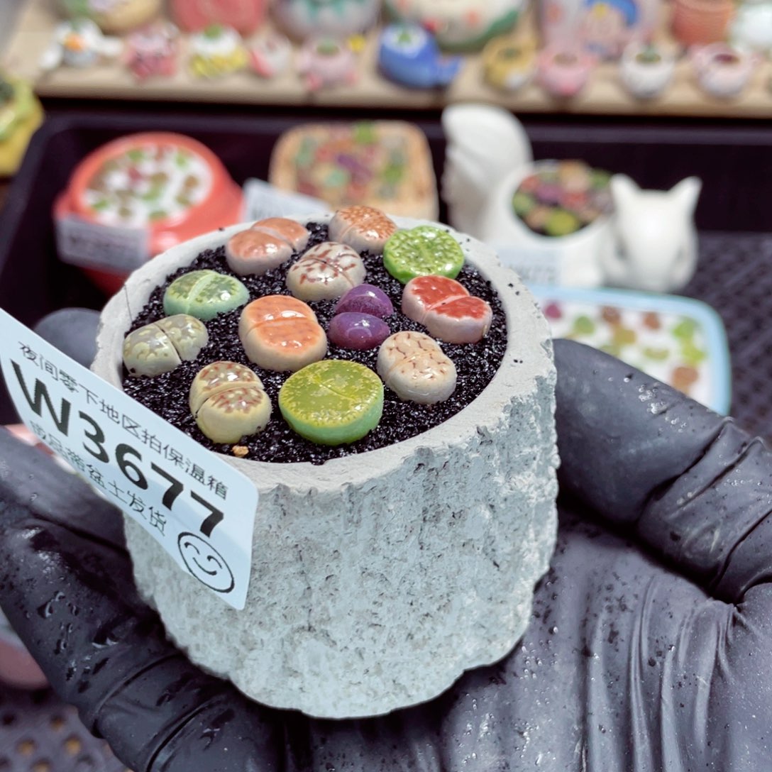 夜间零下地区拍保温箱w3677