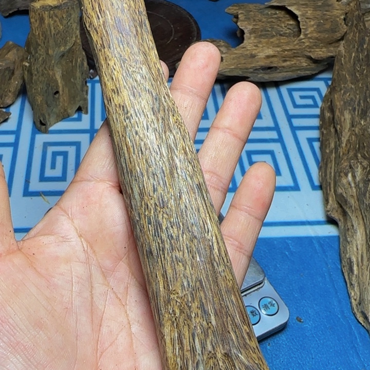 木质绿奇树心油24克