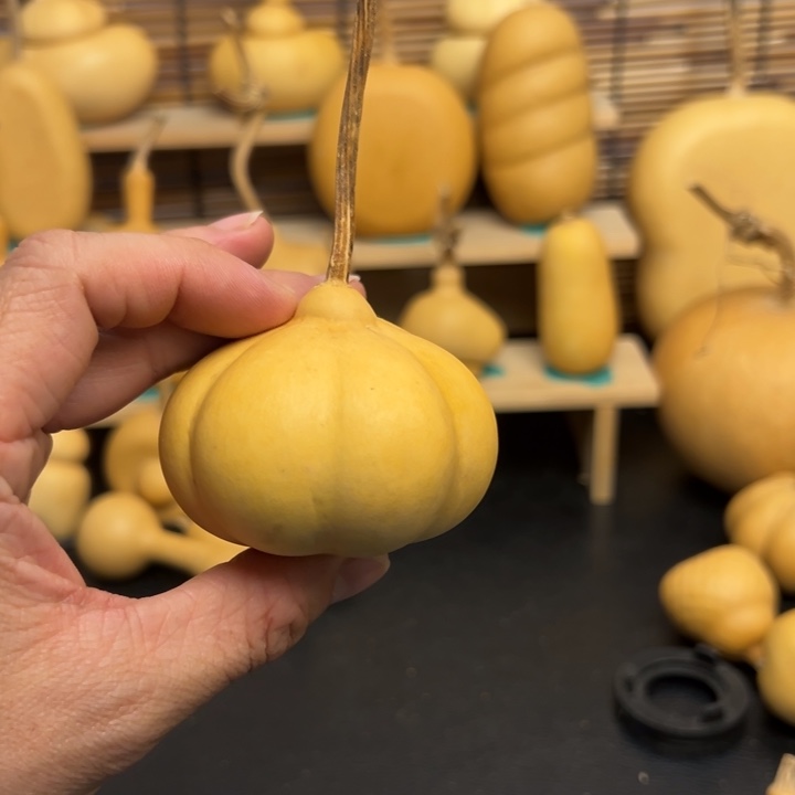 小*叽葫芦葫芦葫芦葫芦葫芦葫芦葫芦