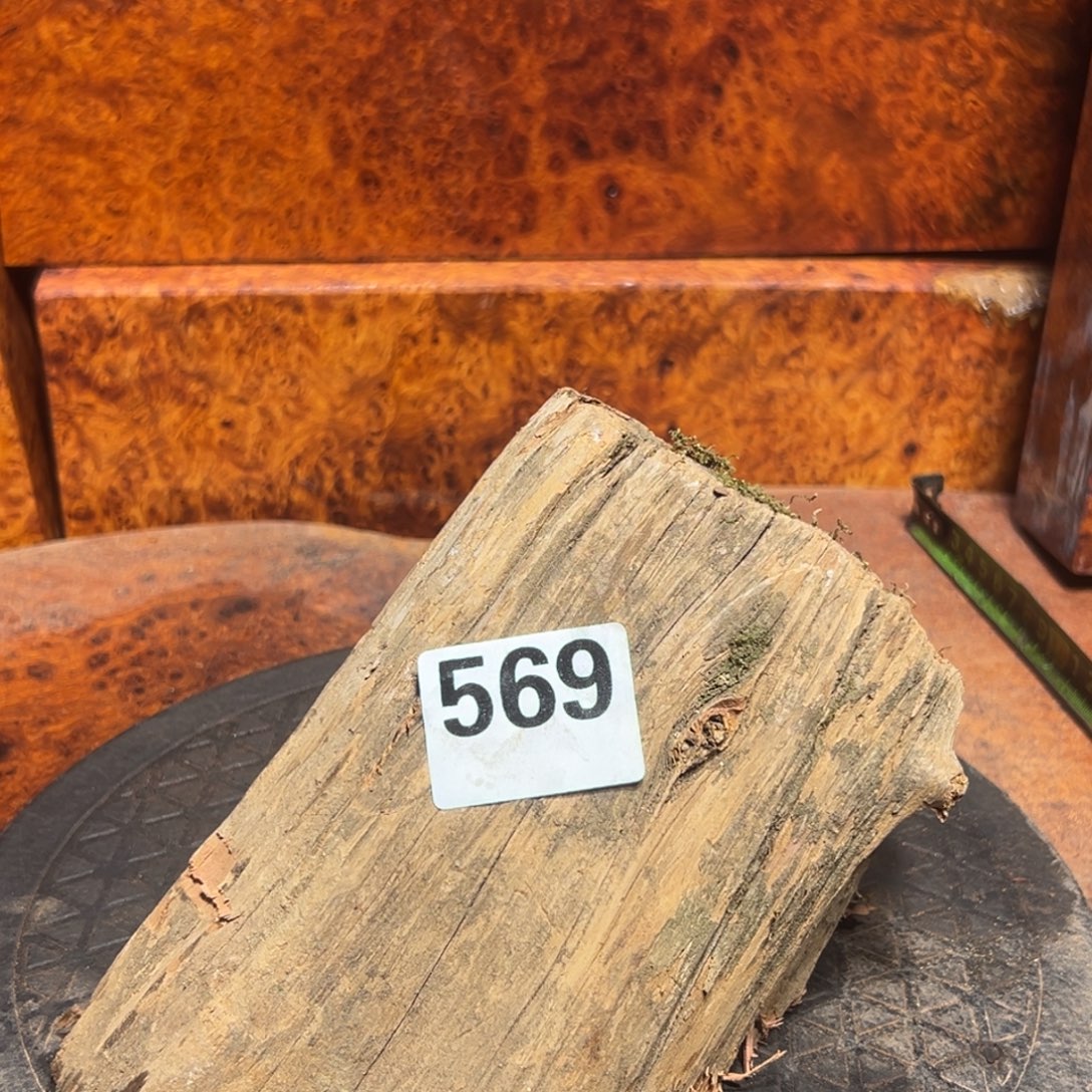 大果紫檀（缅甸花梨）