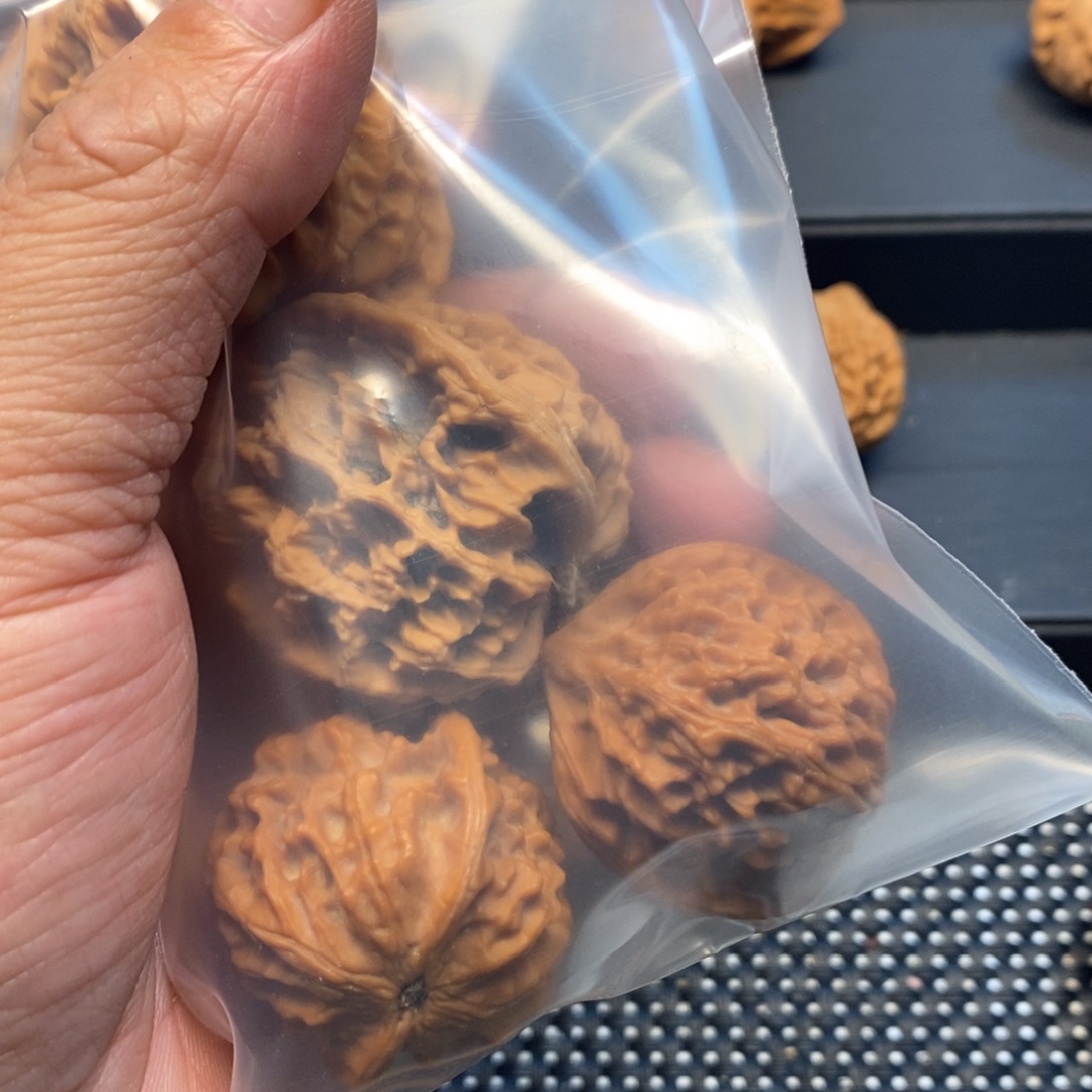 啦***源手串/手链核桃秦岭森林中发现过几株