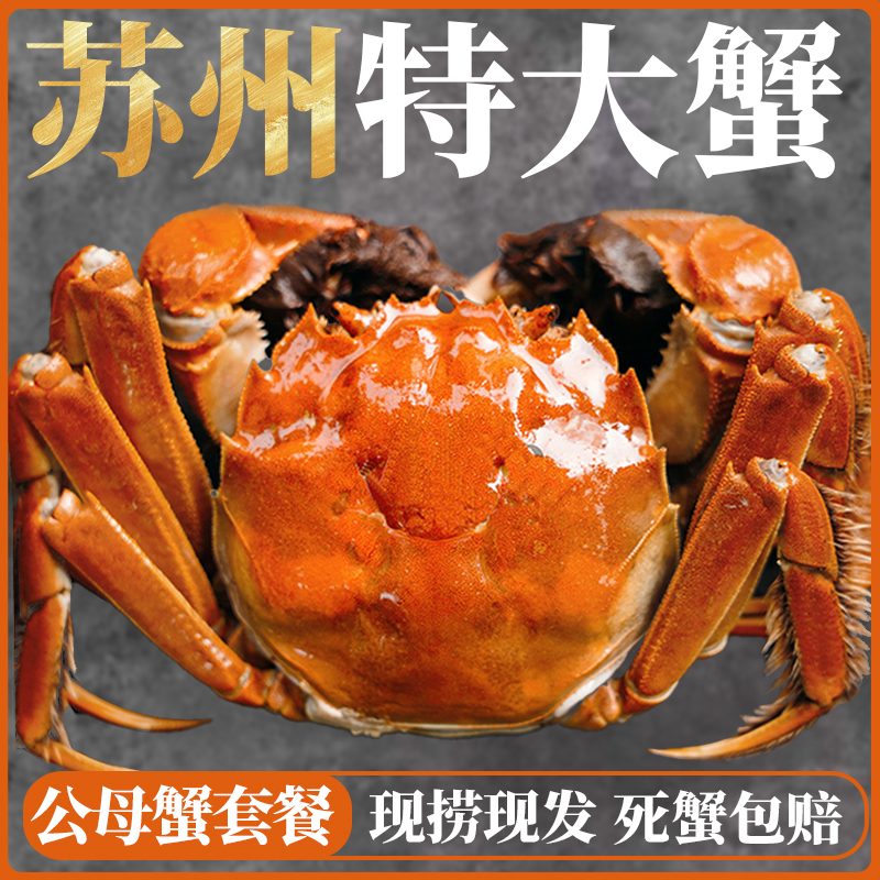 【活蟹】精挑大闸蟹公蟹6.0-5.7两母4.0-3.7两共6/10只装鲜活包邮XJ