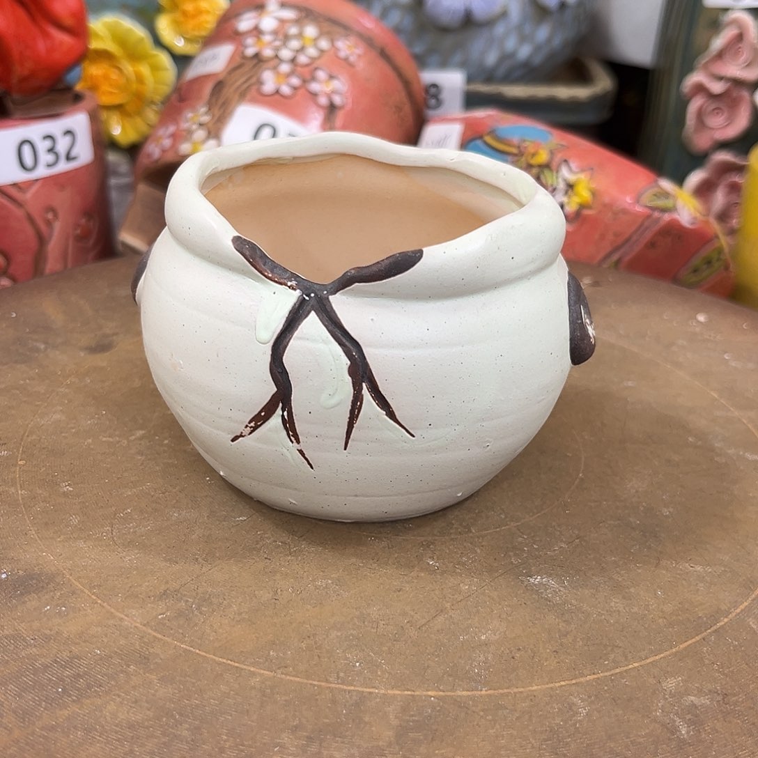 凑满15包邮发货发货