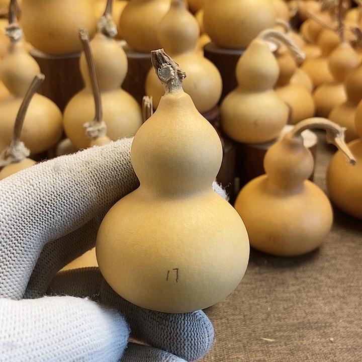 文玩葫芦 完美主义者 慎拍17