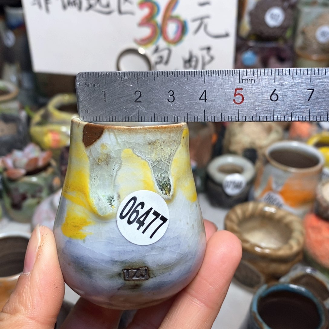 花盆拍5送一个小礼物