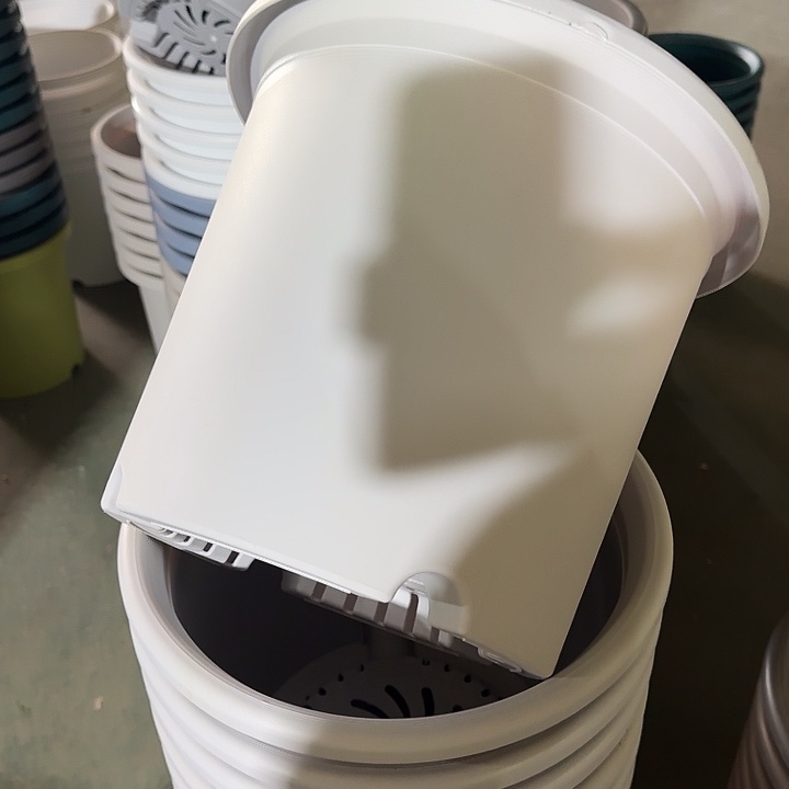 四季6号新灰白无托10个特价