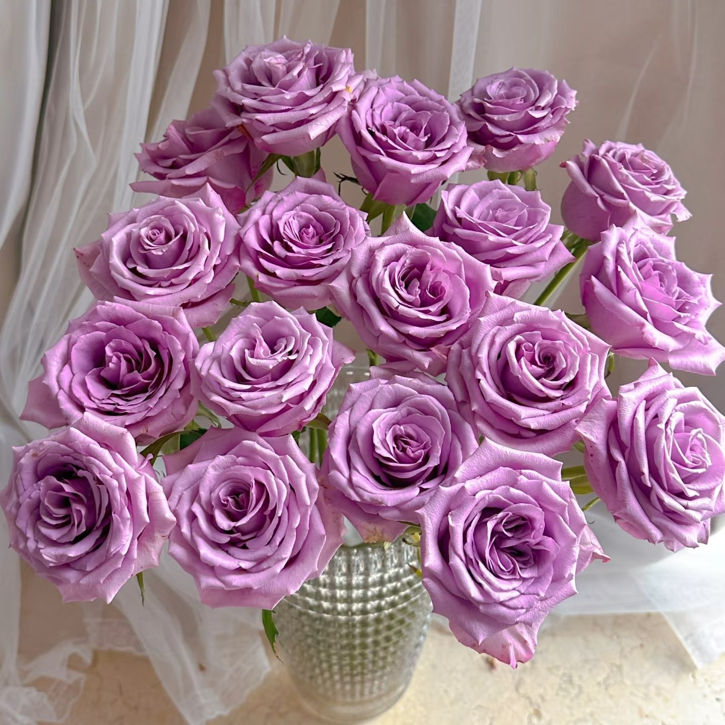 云南精选紫霞仙子玫瑰（买十支送十支）