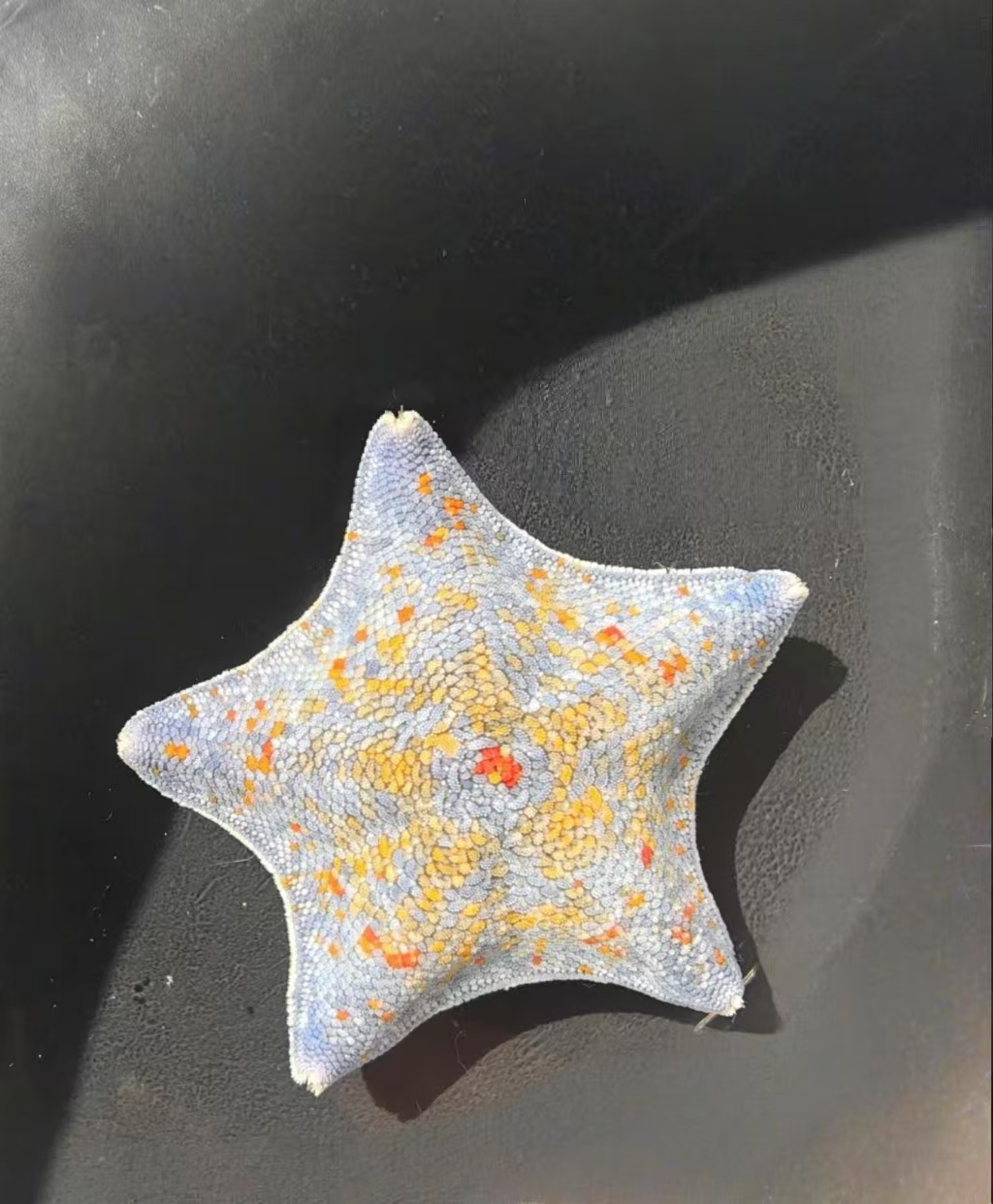 直播间一物一拍链接