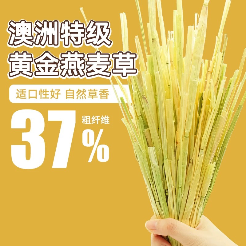 手工挑拣5A级澳洲燕麦草兔子豚鼠龙猫猪干草