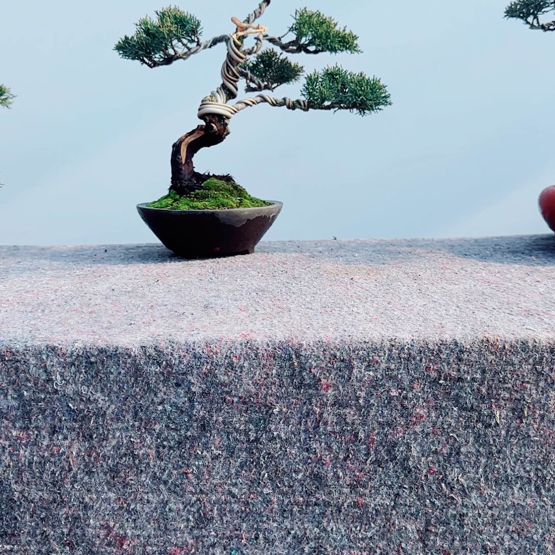 A***3完全开放一物一拍济州