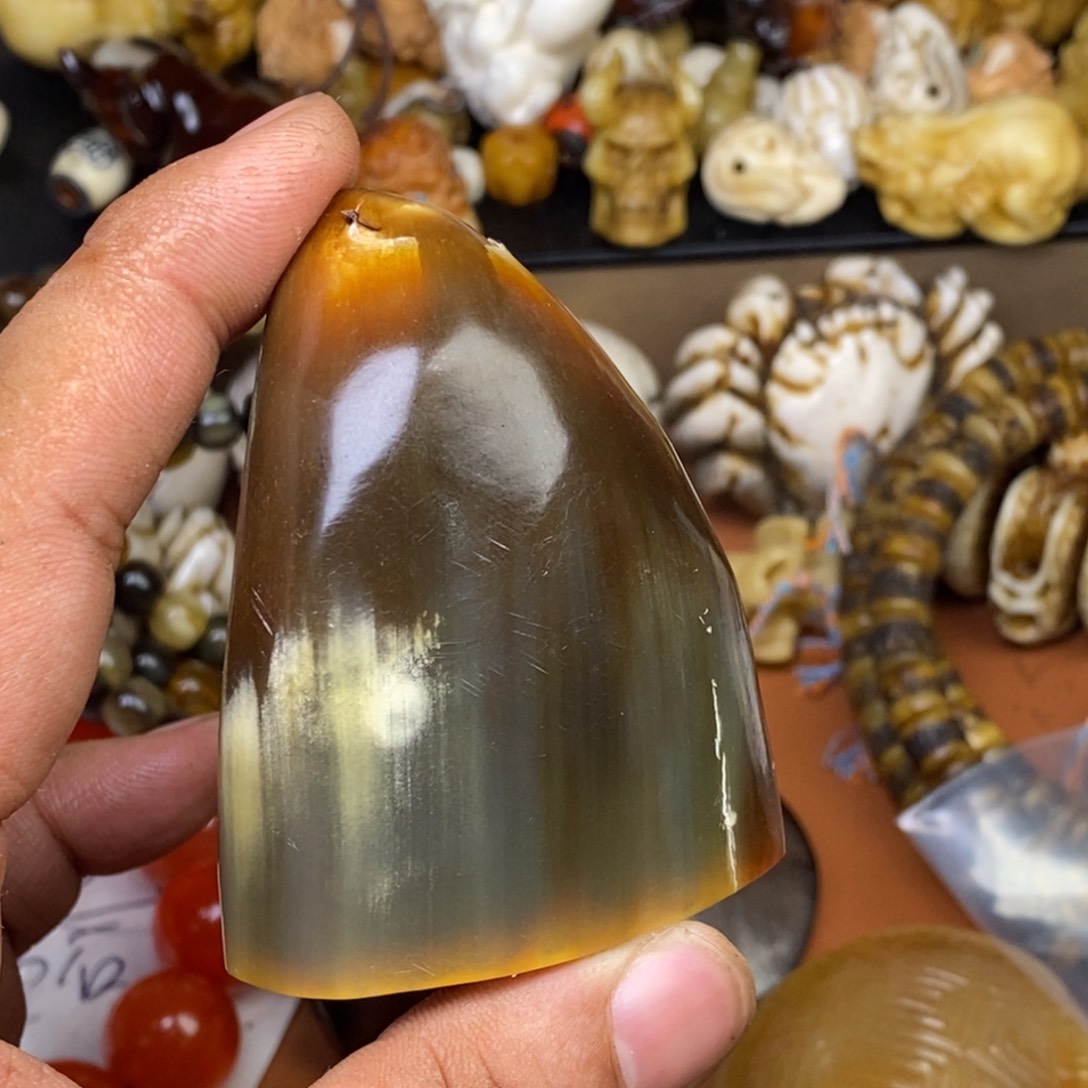 其他驼骨人工样子