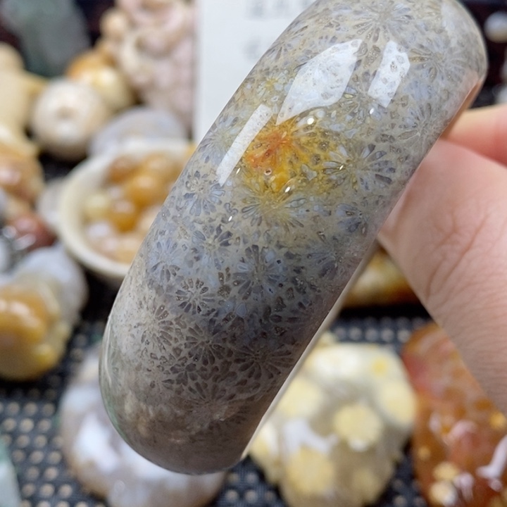硅化珊瑚（珊瑚玉）颈饰未镶嵌57