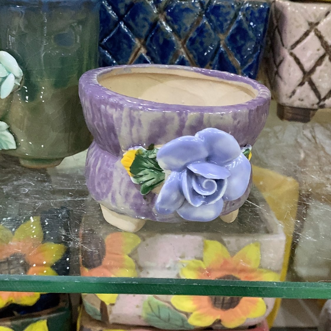 【闪购商品】红陶福利