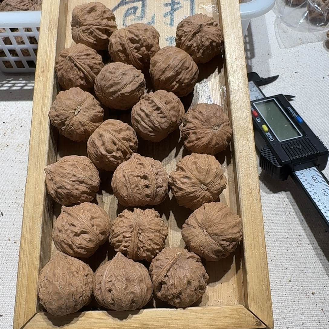 核桃手串/手链10号边25手持