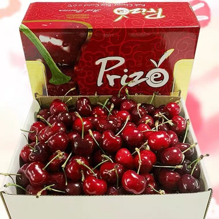 5J1箱大果紫色智利桑提娜空运车厘子顺丰黑亮爆汁XL（内附果径卡）