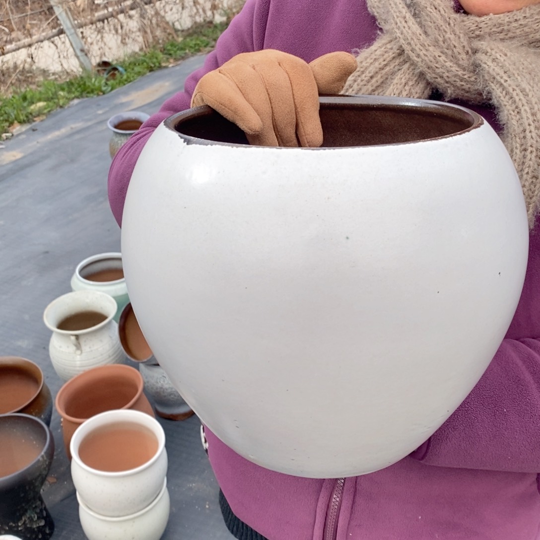 红陶口20高22～～～