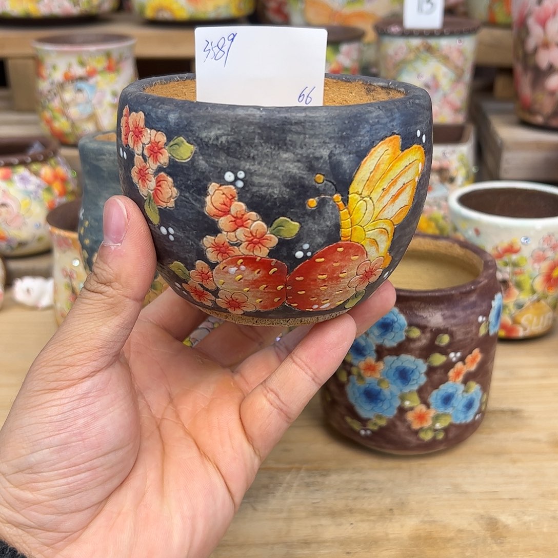 红陶3589福利布丁