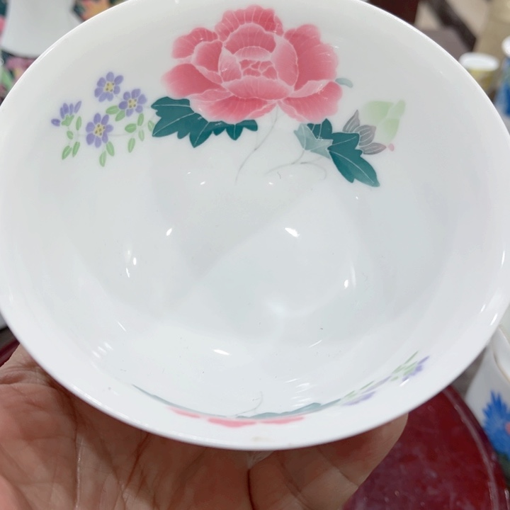 碟釉下五彩的瓷器在瓷器