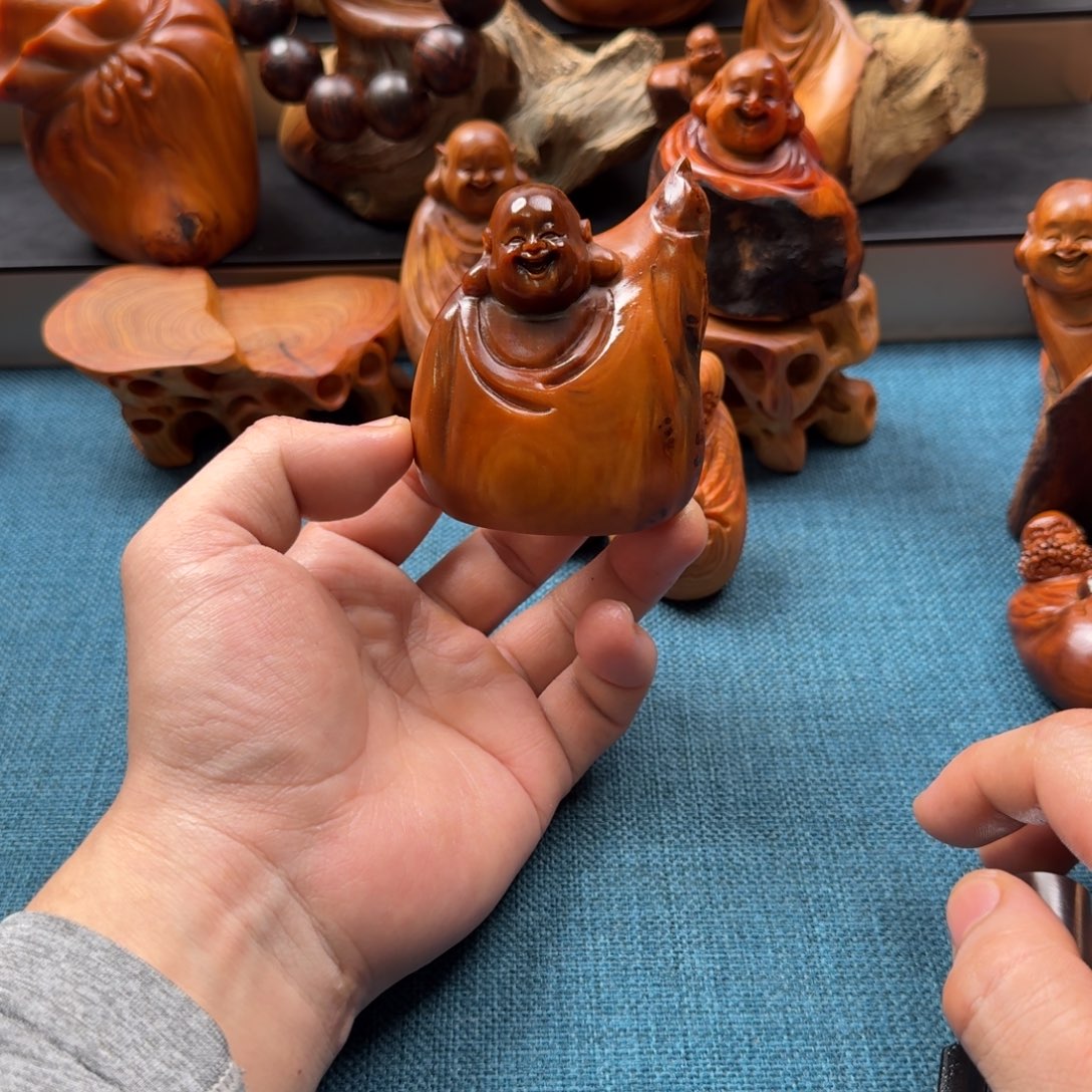 柏木（崖柏）太行崖柏