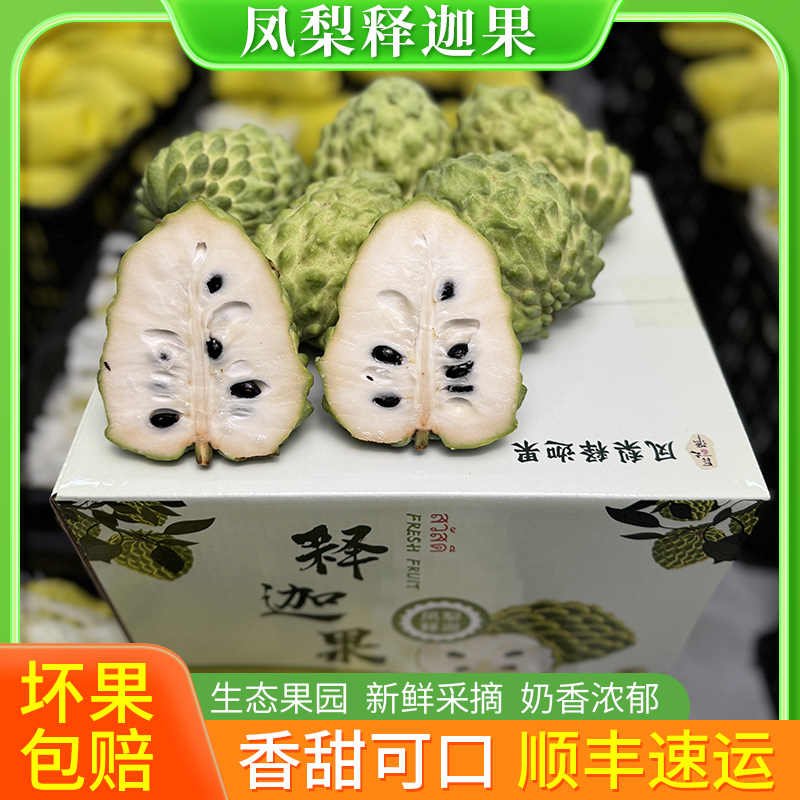 释迦果年货礼盒装凤梨释迦果整箱包邮顺丰发货精选现摘现发礼盒