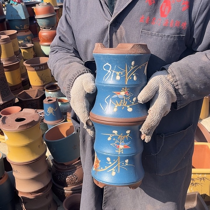 紫砂紫砂花盆在这里开得