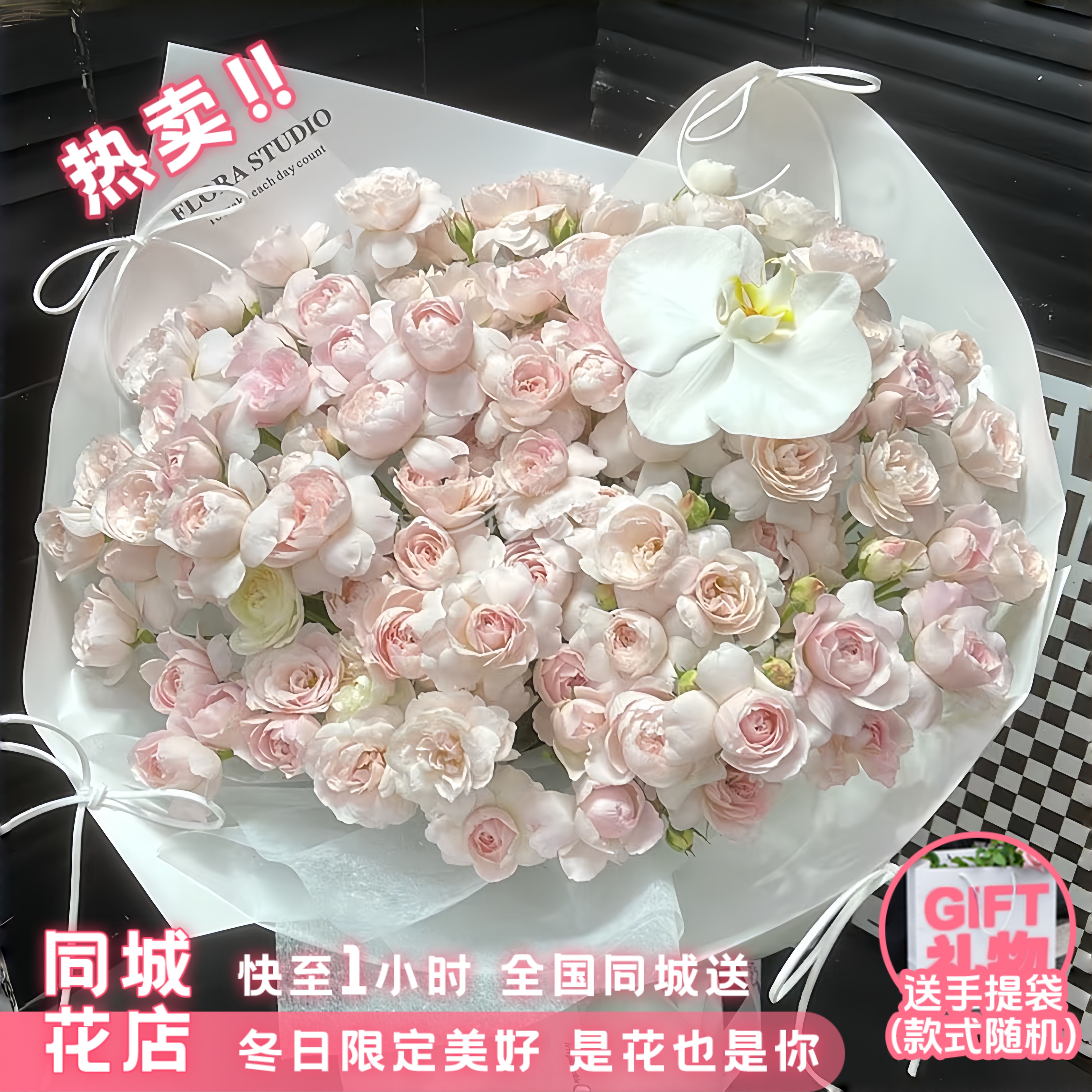 热卖爆款 浪漫永在【仙子之吻1朵蝴蝶兰花束】鲜花花束送闺蜜恋人朋友鲜花直播间现场直播卖花同城配送小时达