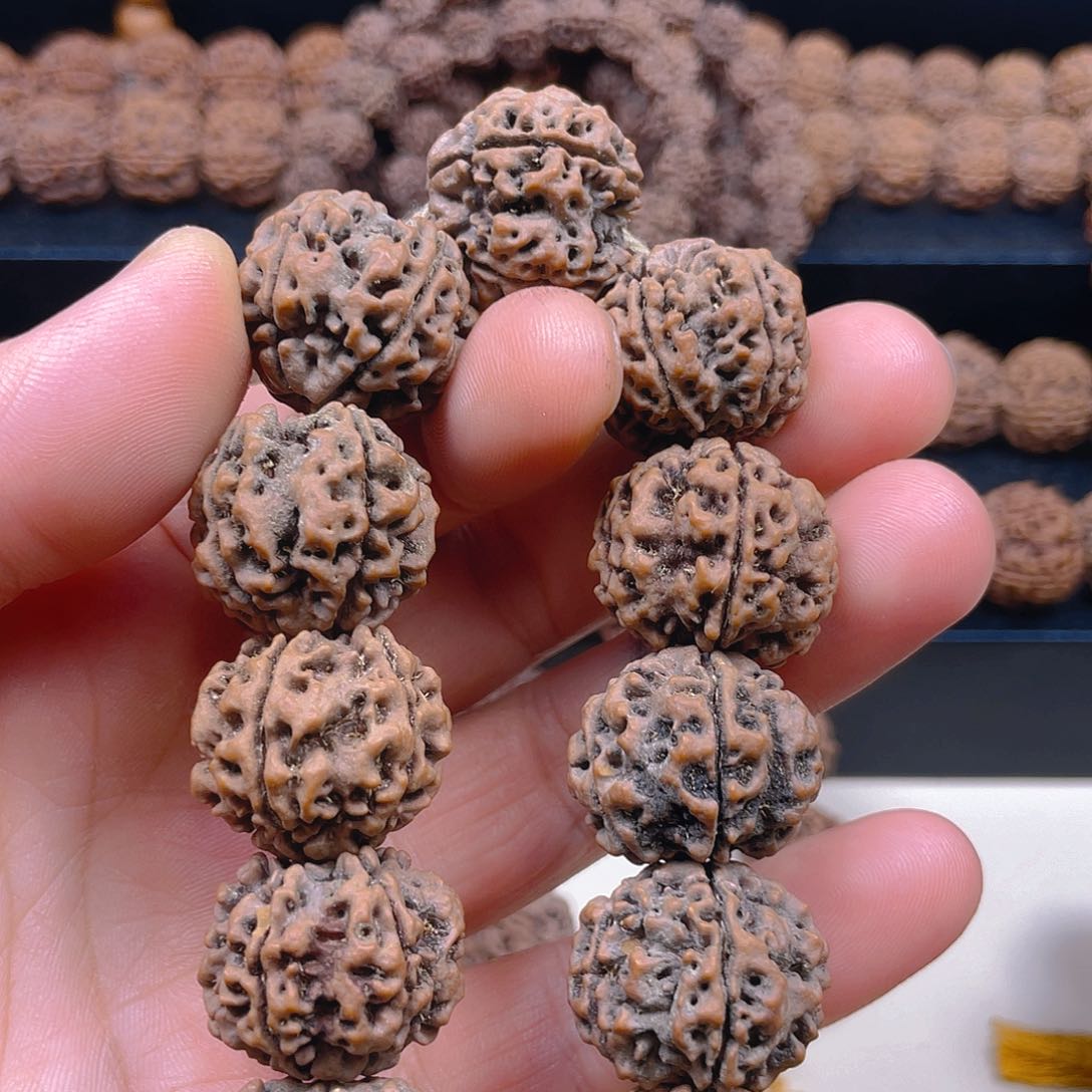 8***1金刚菩提手串23mm古龙梅花