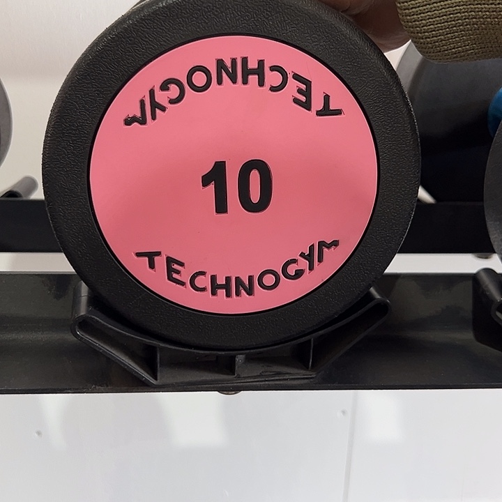 全新纯钢泰诺哑铃10公斤一对