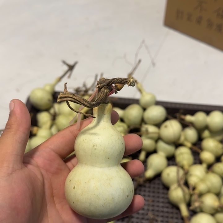 菜***贝感谢大哥支持兄弟，不保成