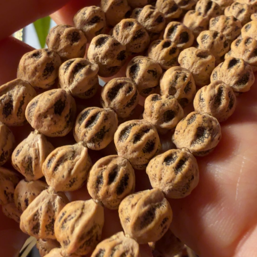 柏香籽/百香籽手串