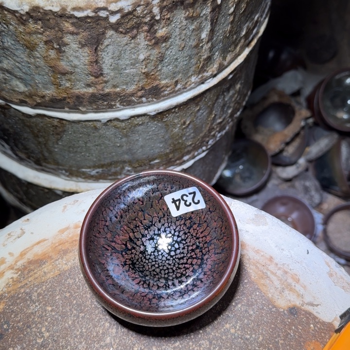 茶盏提出解决农村留守学生入学面临入学