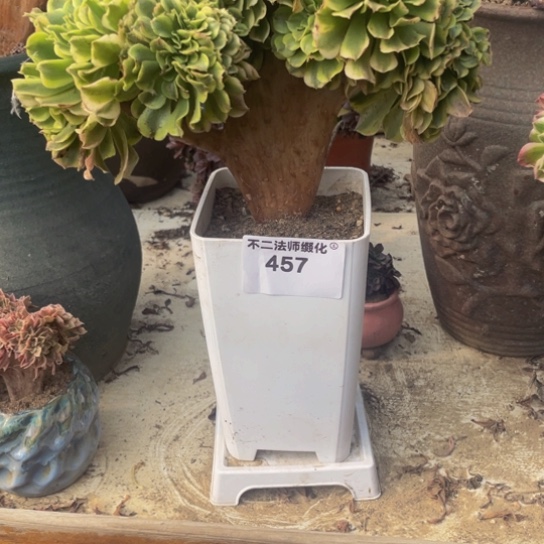 芳***-457，绿豆沙随单发货不包邮