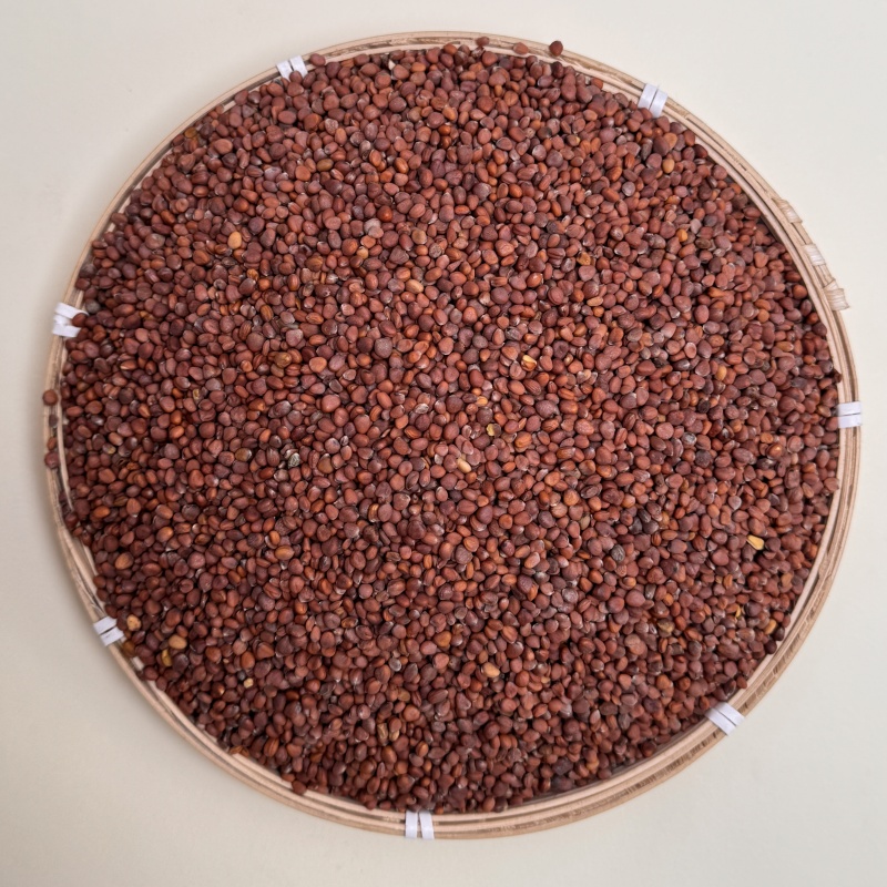 莱菔子 精选颗粒饱满干净无杂萝卜籽萝卜新货250克可搭配枸杞