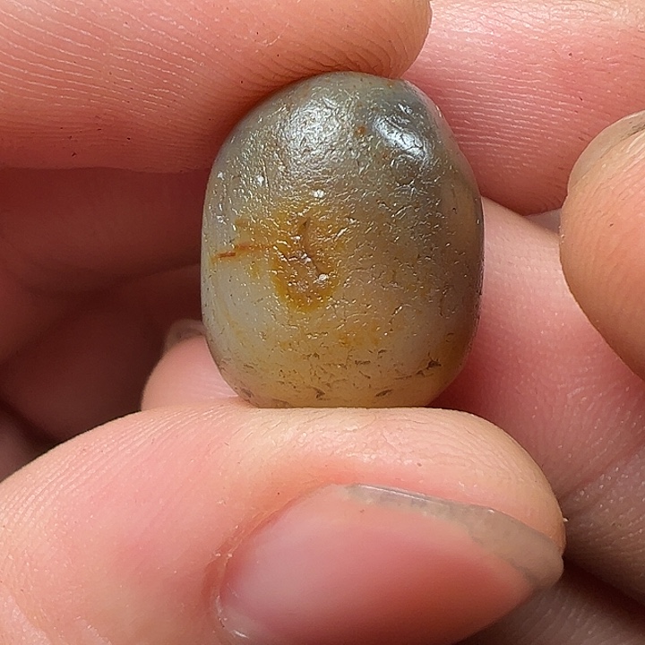 出****❗我们都是在这里看到的哈我们