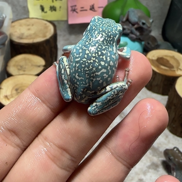 老爷树蛙2 魔鬼蓝莲花暴雪