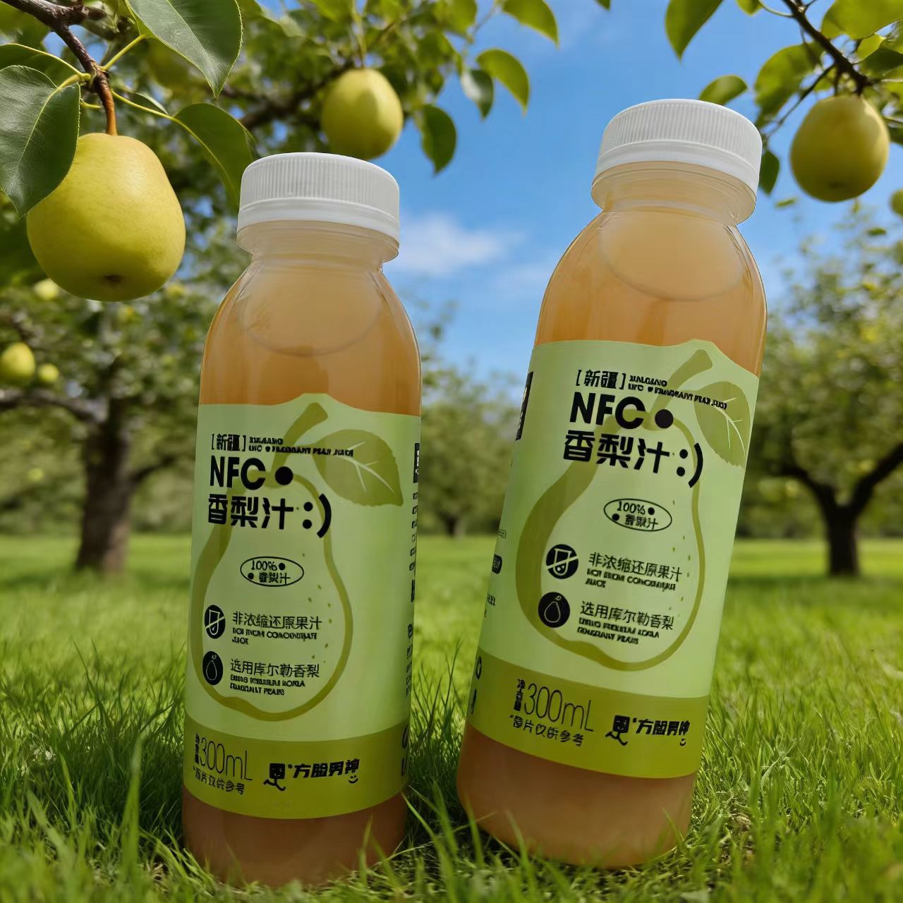 CubeMan/方脸男神新疆库尔勒 NFC鲜榨香梨汁300ml*8瓶  全国包邮