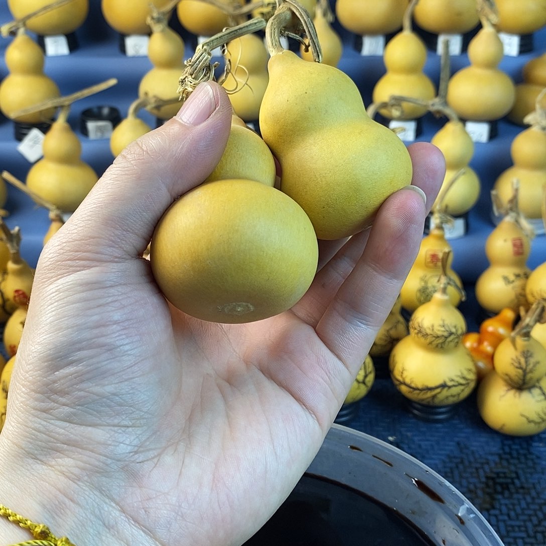 一物一拍所见即所得