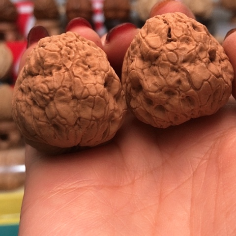 文玩核桃把件云南铁核桃