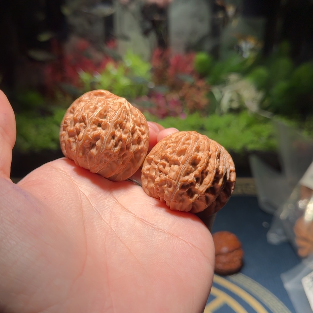 238号42磨盘狮子头文玩核桃