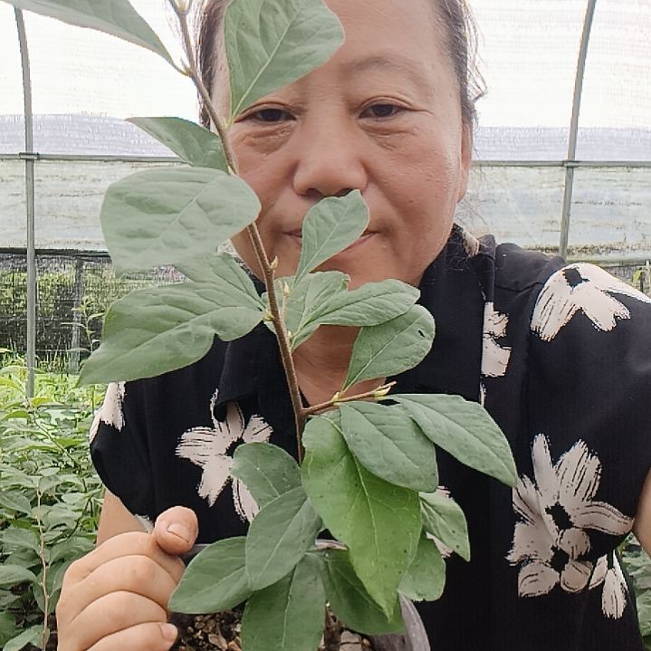 朱***兵无花朵1234567890