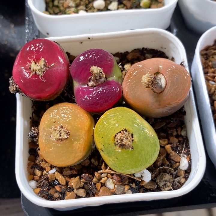 5124一组一组一组