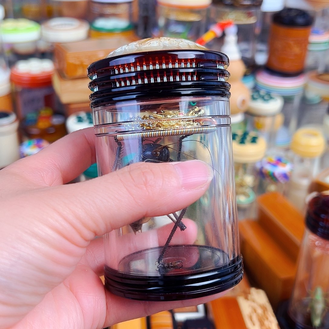 木茶色蒙心款蝈蝈罐➕龙簧➕铁皮锅锅