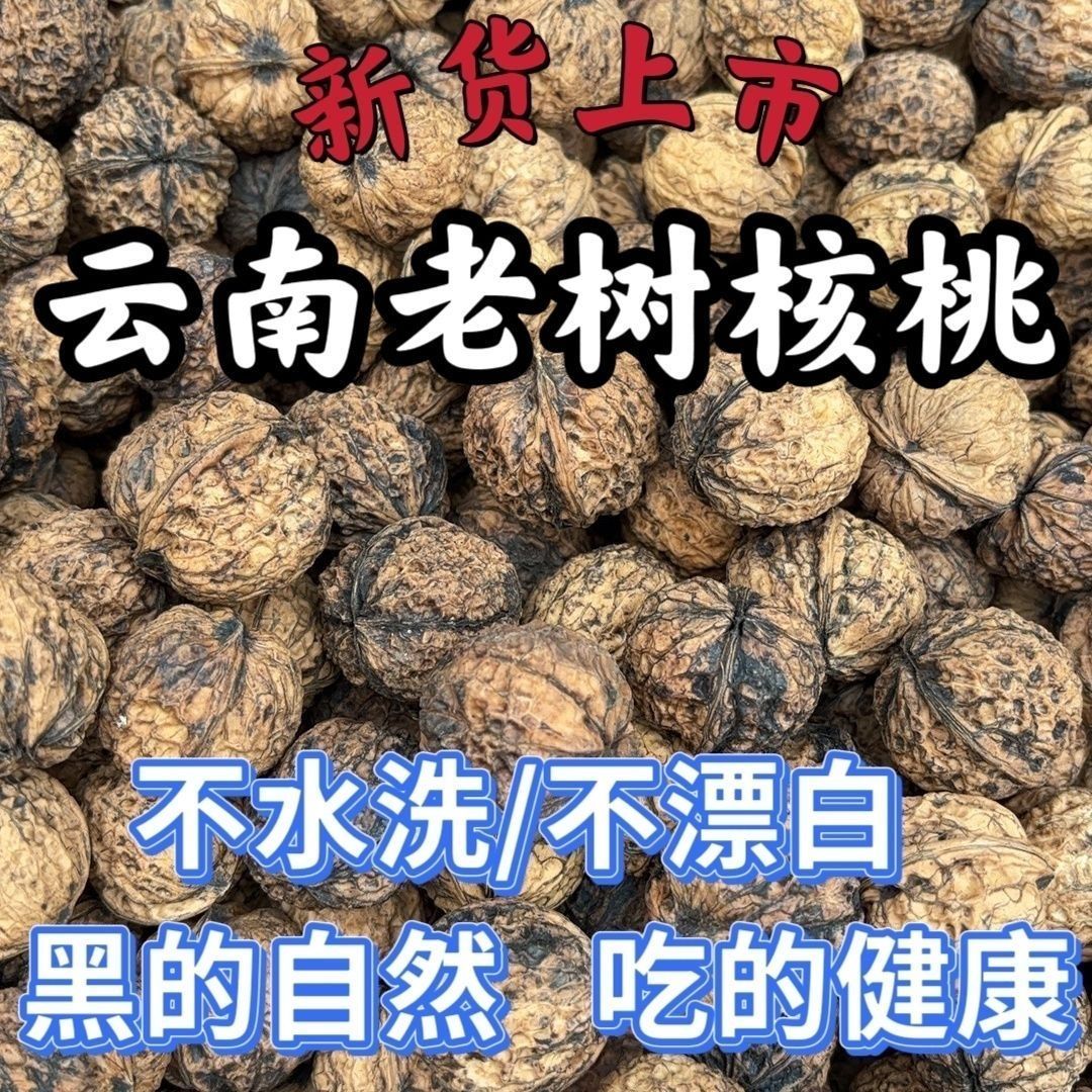 云南高山老树核桃当季新货干核桃生核桃