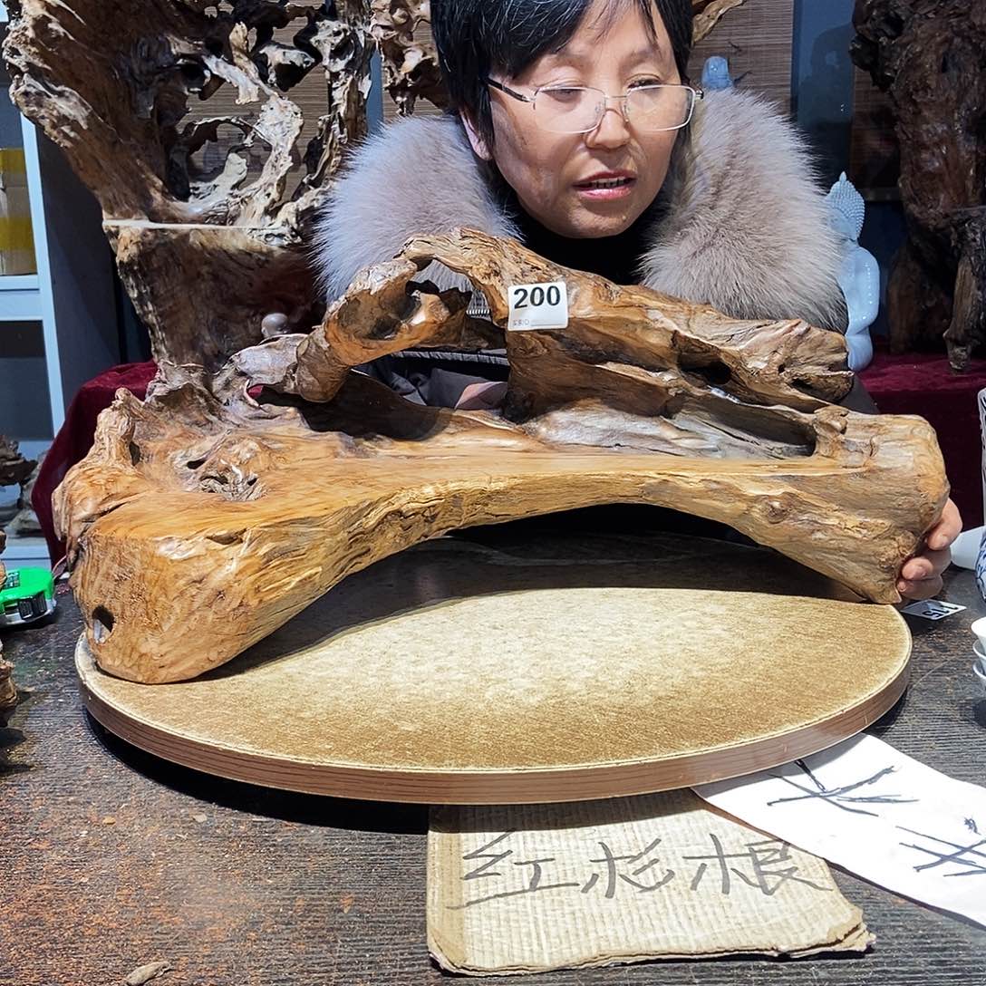 随***道200。株木随行根艺