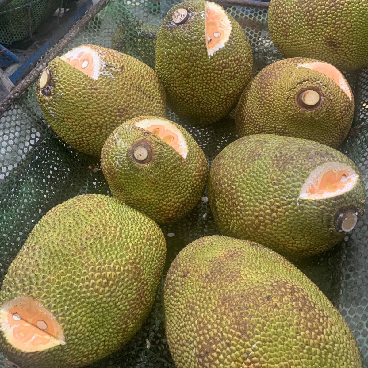 【特级整果】印尼红肉菠萝蜜脆甜可口香味浓郁新鲜热带水果红肉菠萝蜜越南社会主义共和国