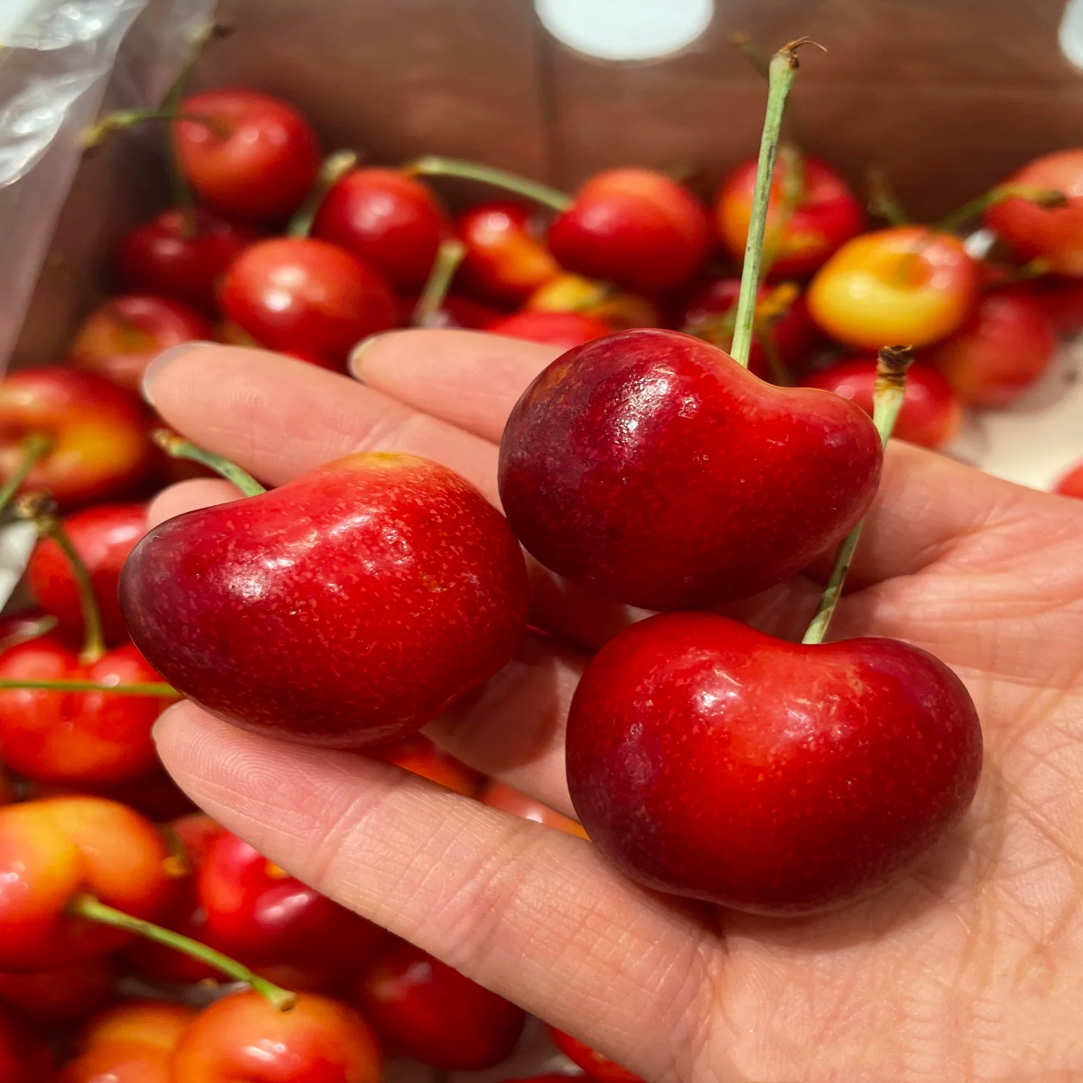 斯卡拉雷空运智利天空之城2/4斤J-4J车厘子新鲜海运内附果径卡